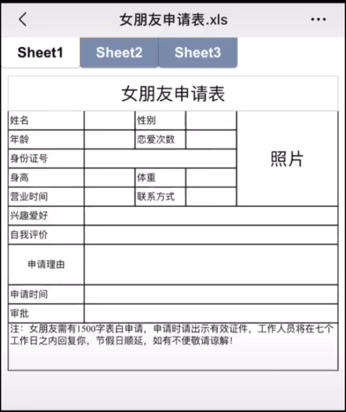抖音女朋友申请表图片高清，女朋友申请表文档下载