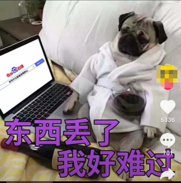 【表情包】东西丢了我好难过：你为什么能偷走我的心