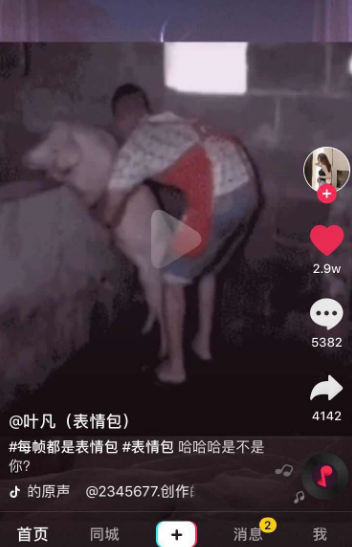 背后偷偷抱你（猪）表情包