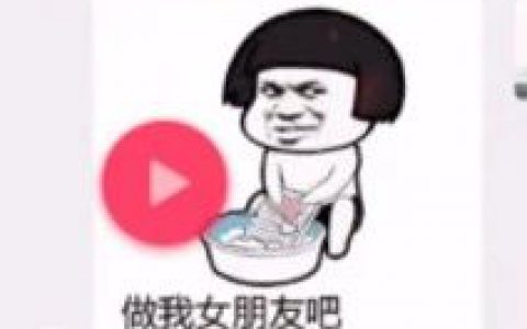 做我女朋友吧 我帮你洗衣服表情包抖音