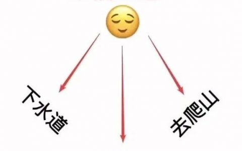 幸福三选一：下水道 化粪池 去爬山图片抖音