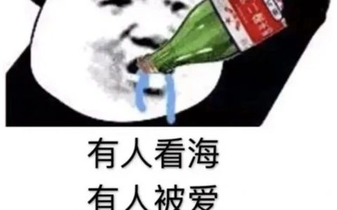 有人看海 有人被爱 有人喝酒到现在表情包抖音