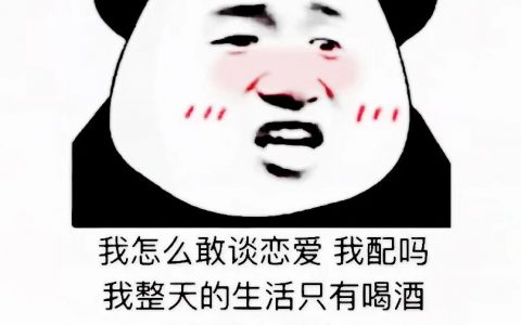 我怎么敢谈恋爱 我配吗 我整天的生活只有喝酒表情包