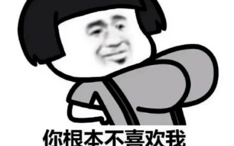 你根本不喜欢我 你是为了我的大咪咪