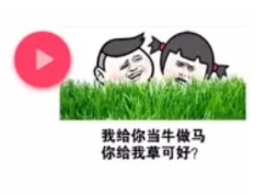 我给你当牛做马 你给我草可好 表情图抖音