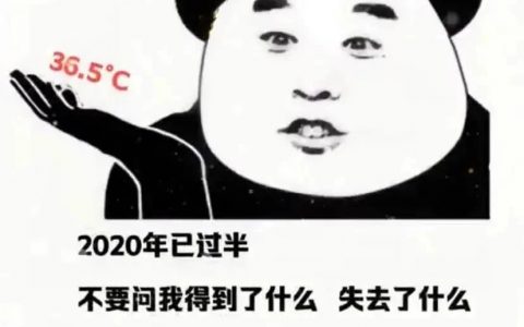 2020年已过半 不要问我得到了什么 失去了什么 今年唯一的骄傲就是体温36.5℃表情包