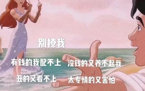 别撩我 有钱的我配不上 没钱的又养不起我图片抖音