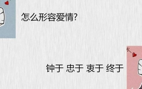 怎么形容爱情 钟于 忠于 衷于 终于壁纸图片抖音