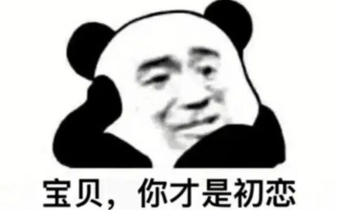 宝贝 你才是初恋 他们都是彩排表情包