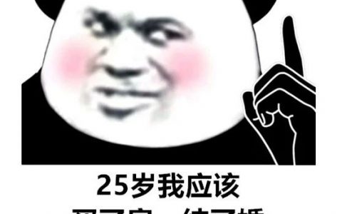 25岁我应该买了房结了婚 甚至开了自己的公司表情包