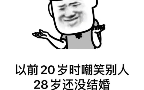 以前20岁时嘲笑别人 28岁还没结婚 现在好了报应表情包