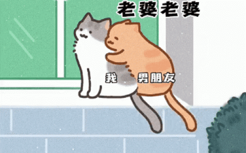 居然给我招蜂引蝶 你居然凶我 猫咪表情包