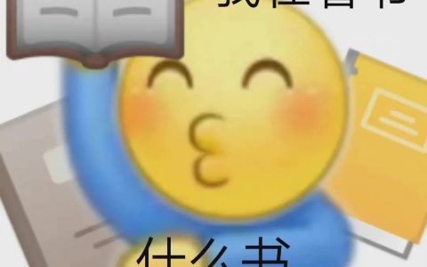 我在看书 什么书 遇到你我愿赌服输表情包